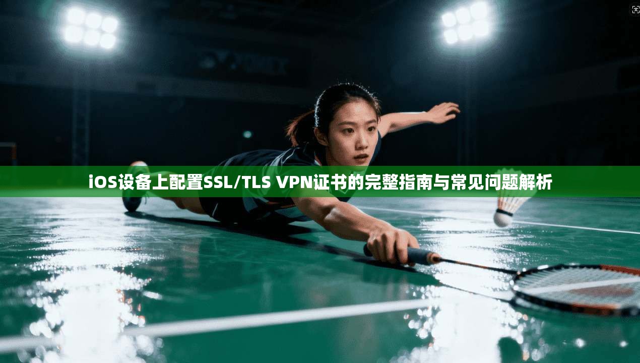 iOS设备上配置SSL/TLS VPN证书的完整指南与常见问题解析