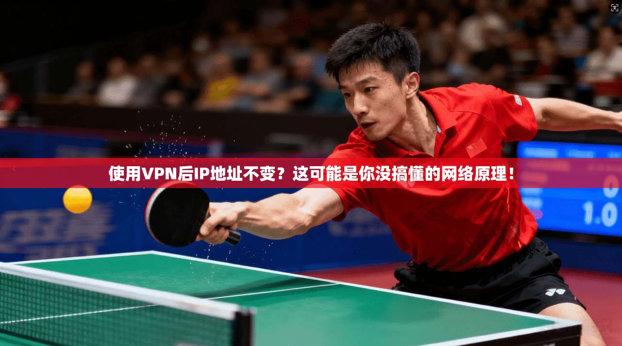 使用VPN后IP地址不变？这可能是你没搞懂的网络原理！