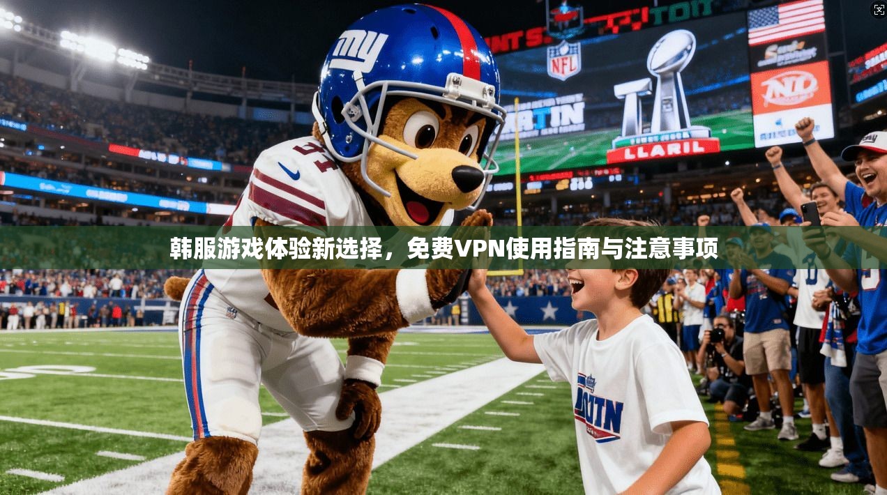 韩服游戏体验新选择，免费VPN使用指南与注意事项