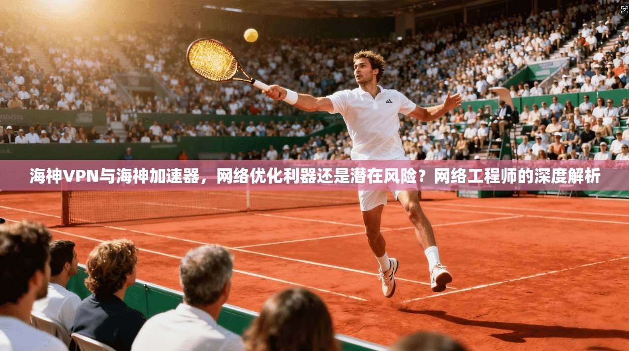 海神VPN与海神加速器，网络优化利器还是潜在风险？网络工程师的深度解析