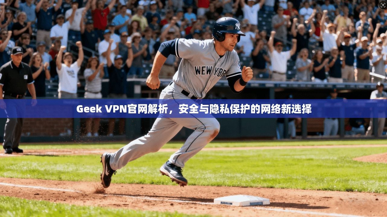 Geek VPN官网解析，安全与隐私保护的网络新选择