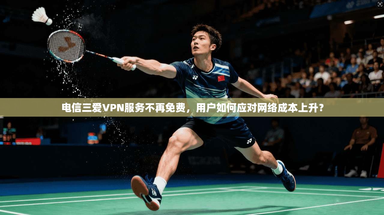 电信三爱VPN服务不再免费，用户如何应对网络成本上升？