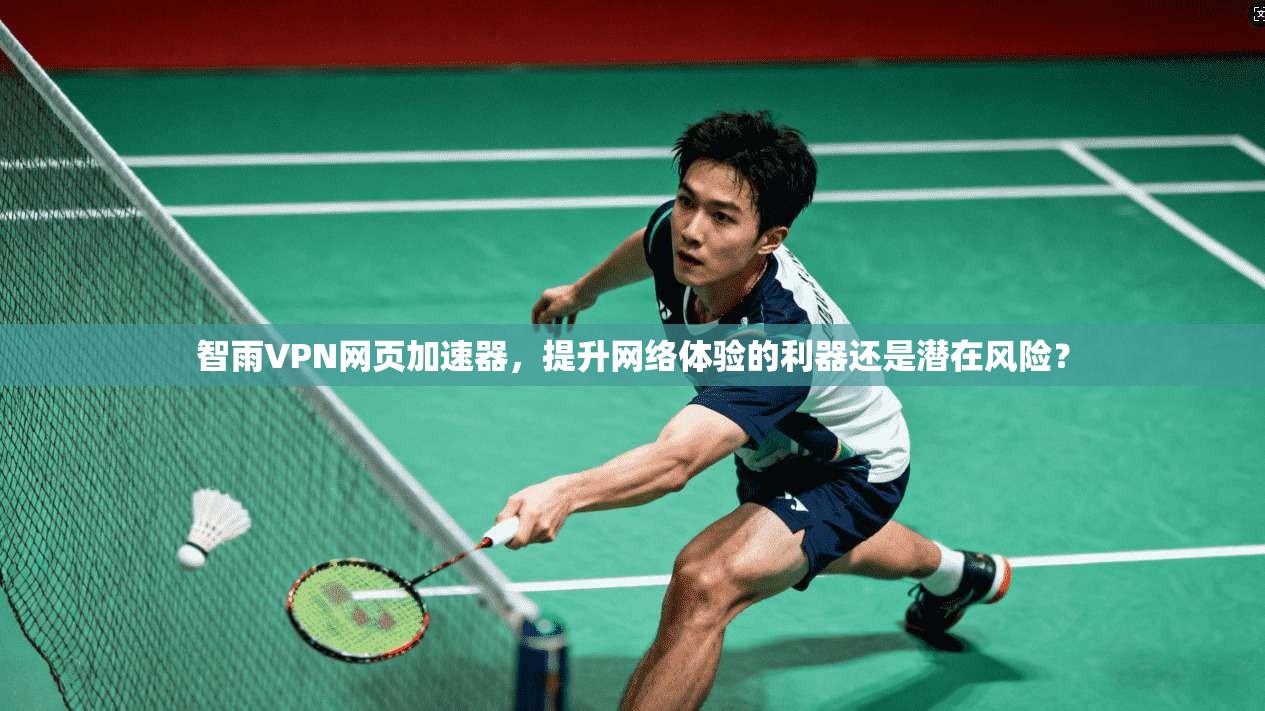 智雨VPN网页加速器，提升网络体验的利器还是潜在风险？