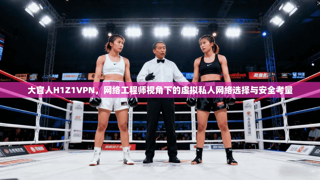 大官人H1Z1VPN，网络工程师视角下的虚拟私人网络选择与安全考量