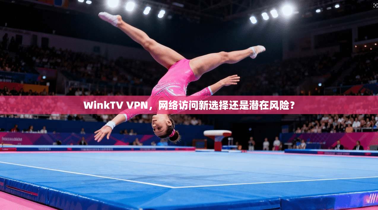 WinkTV VPN，网络访问新选择还是潜在风险？