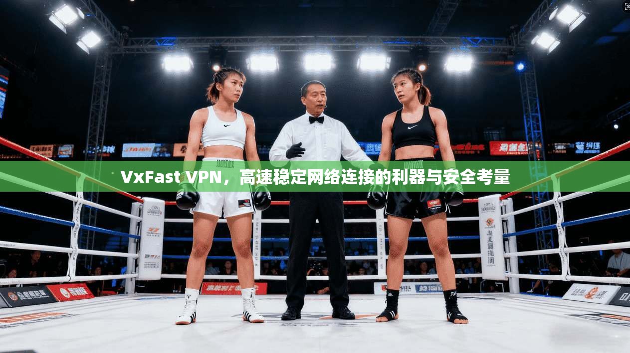 VxFast VPN,高速稳定网络连接的利器与安全考量