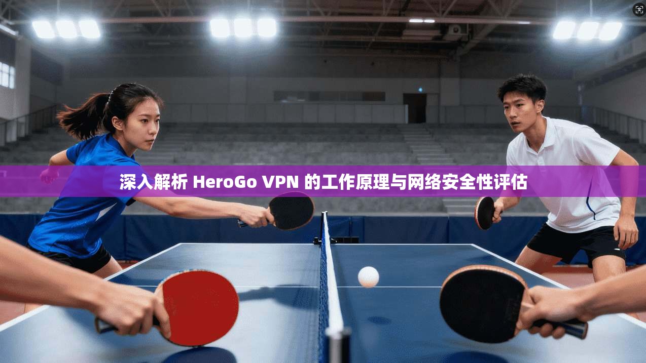 深入解析 HeroGo VPN 的工作原理与网络安全性评估