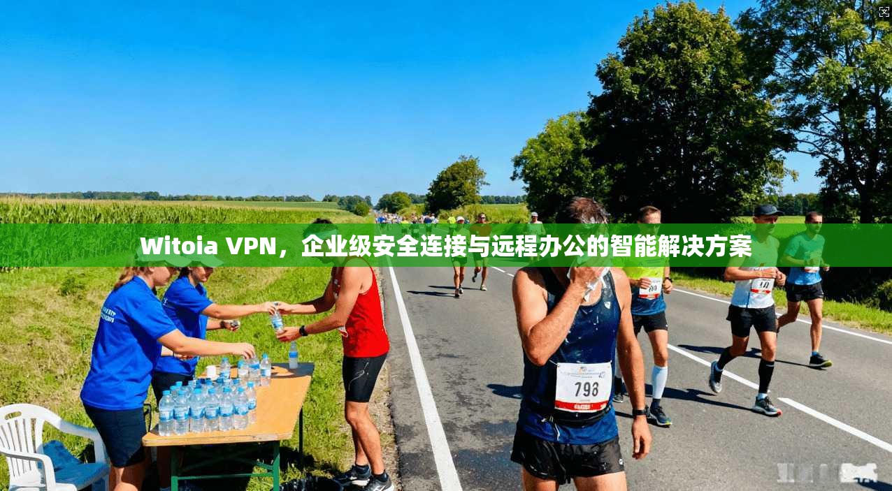 Witoia VPN,企业级安全连接与远程办公的智能解决方案