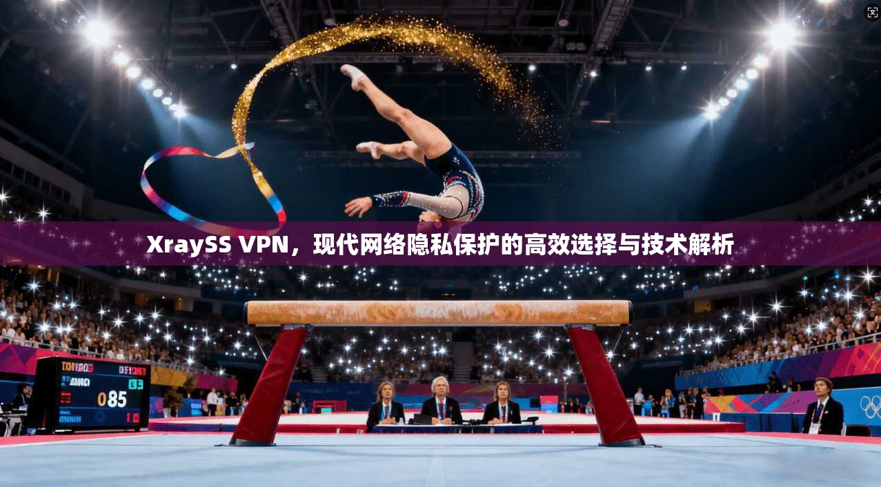 XraySS VPN,现代网络隐私保护的高效选择与技术解析