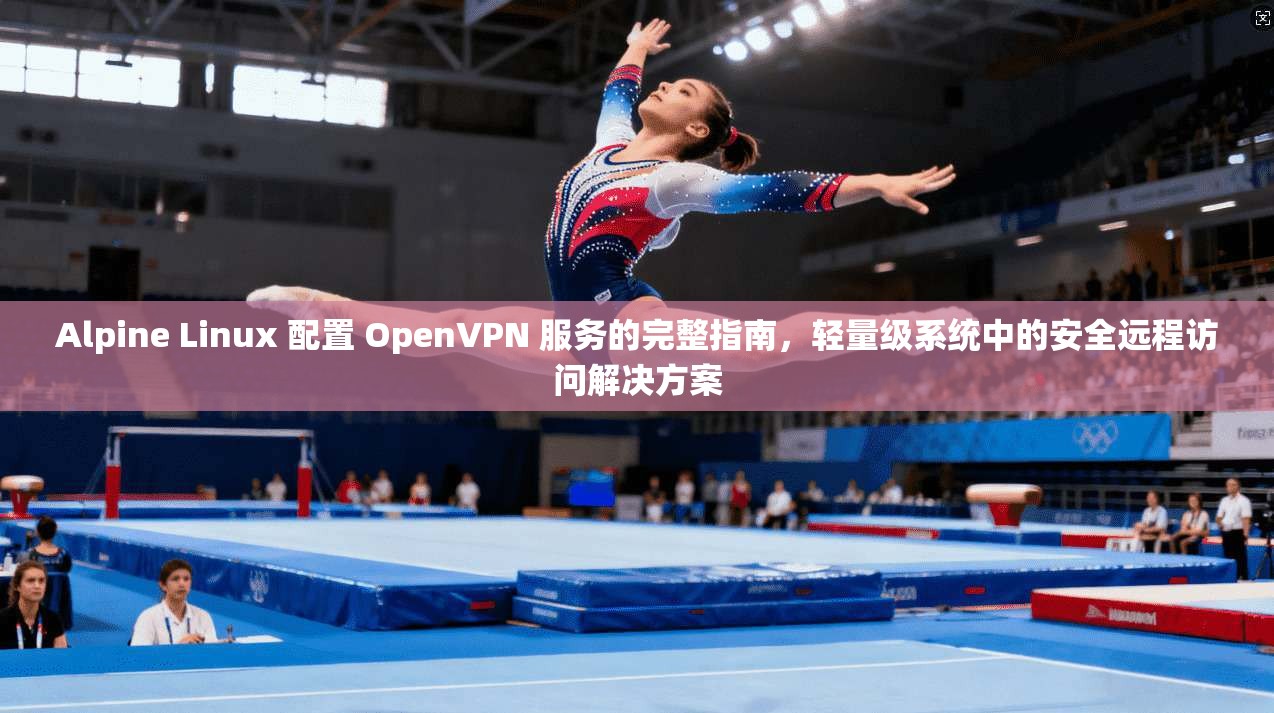 Alpine Linux 配置 OpenVPN 服务的完整指南，轻量级系统中的安全远程访问解决方案