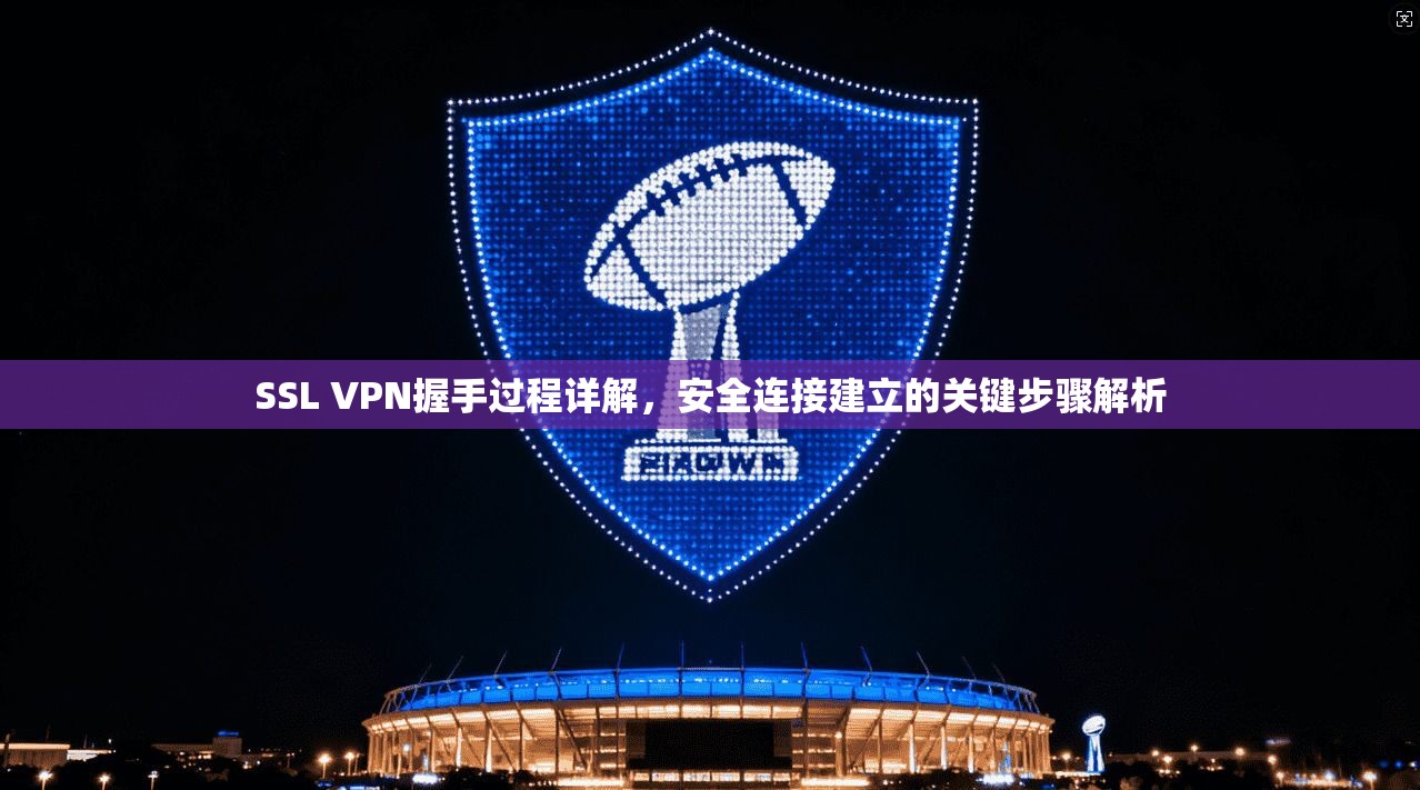 SSL VPN握手过程详解,安全连接建立的关键步骤解析