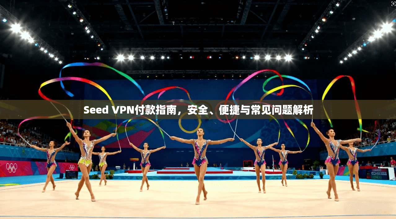 Seed VPN付款指南,安全、便捷与常见问题解析 Seed VPN付款指南,安全、便捷与常见问题解析