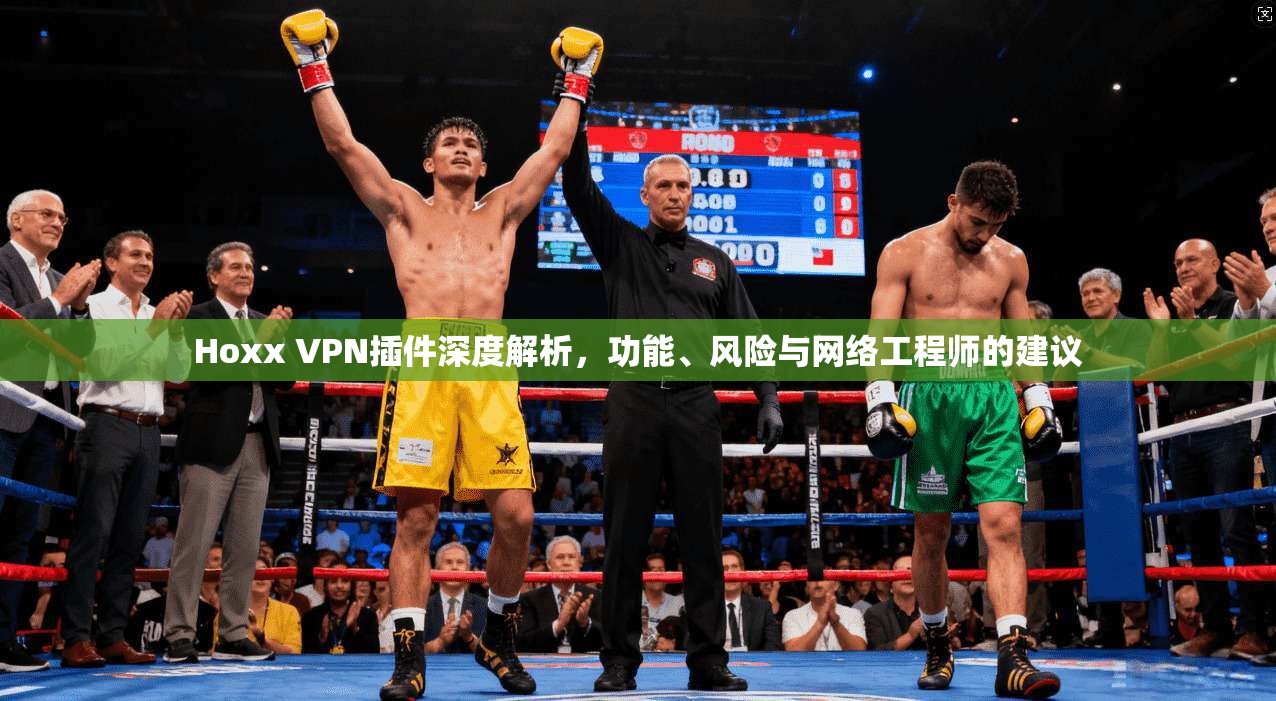 Hoxx VPN插件深度解析,功能、风险与网络工程师的建议 Hoxx VPN插件深度解析,功能、风险与网络工程师的建议