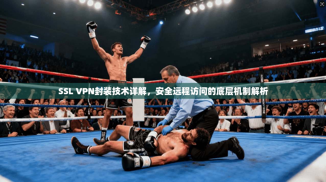 SSL VPN封装技术详解,安全远程访问的底层机制解析 SSL VPN封装技术详解,安全远程访问的底层机制解析