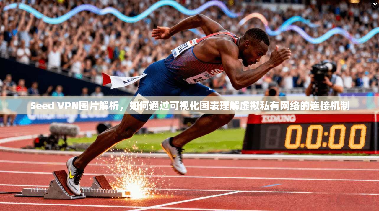 Seed VPN图片解析,如何通过可视化图表理解虚拟私有网络的连接机制 Seed VPN图片解析,如何通过可视化图表理解虚拟私有网络的连接机制