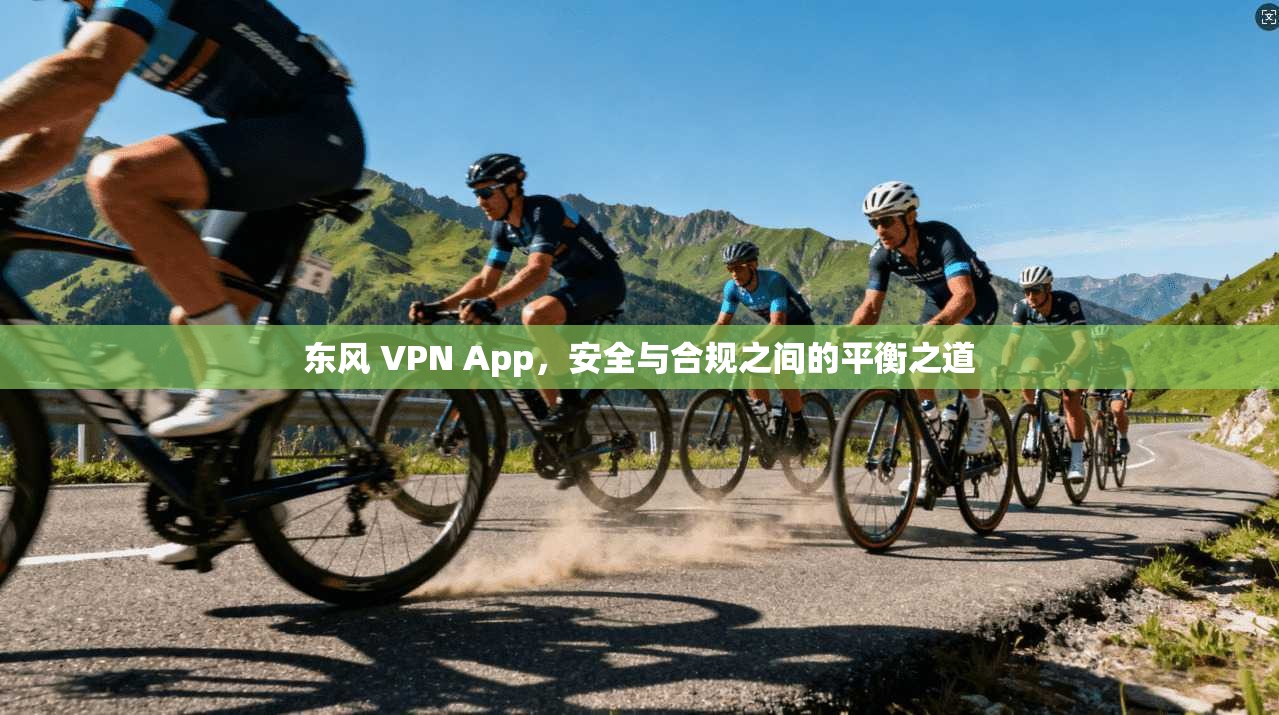 东风 VPN App,安全与合规之间的平衡之道 东风 VPN App,安全与合规之间的平衡之道