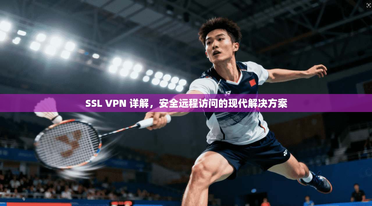 SSL VPN 详解，安全远程访问的现代解决方案
