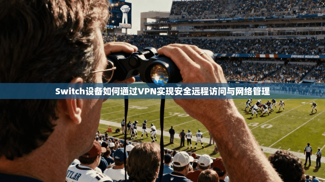 Switch设备如何通过VPN实现安全远程访问与网络管理 Switch设备如何通过VPN实现安全远程访问与网络管理