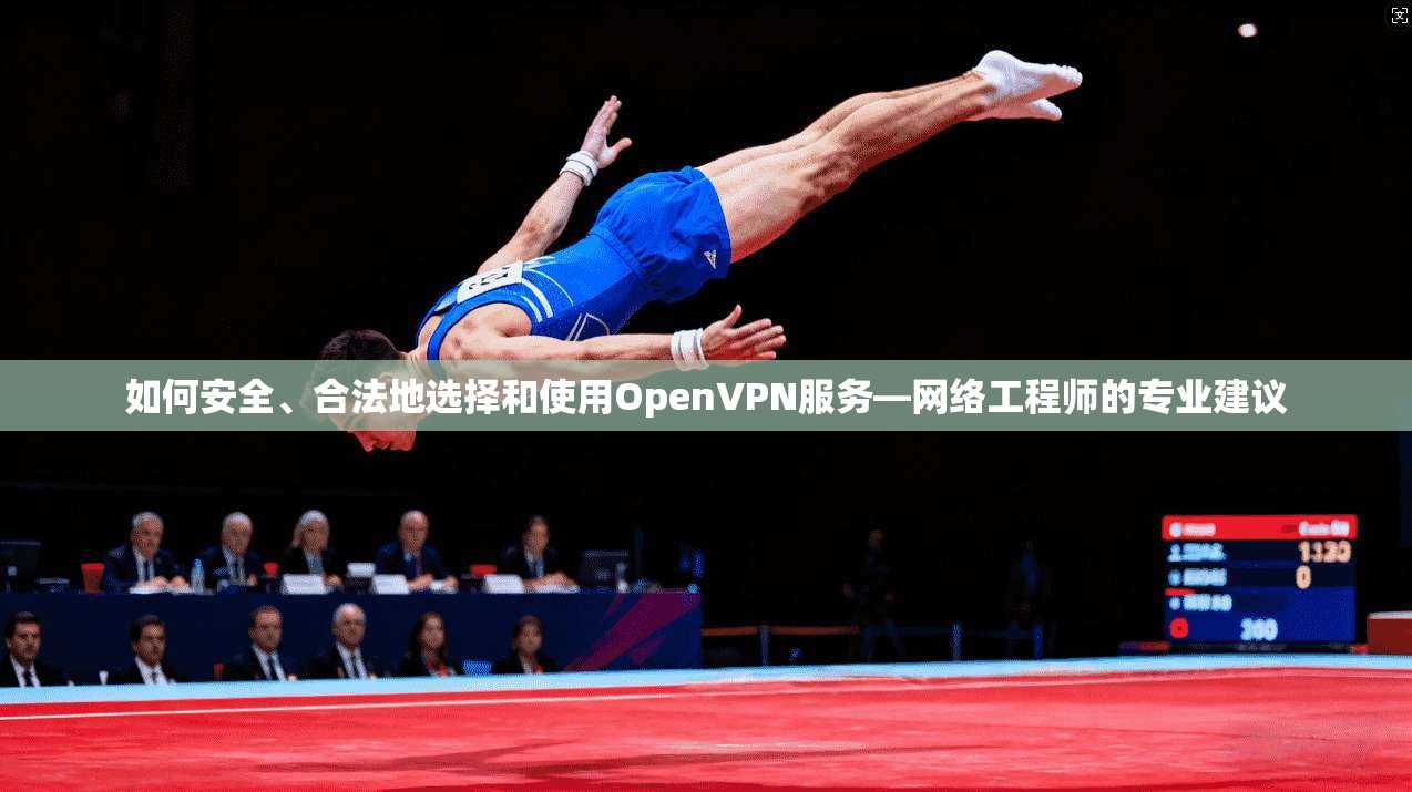 如何安全、合法地选择和使用OpenVPN服务—网络工程师的专业建议