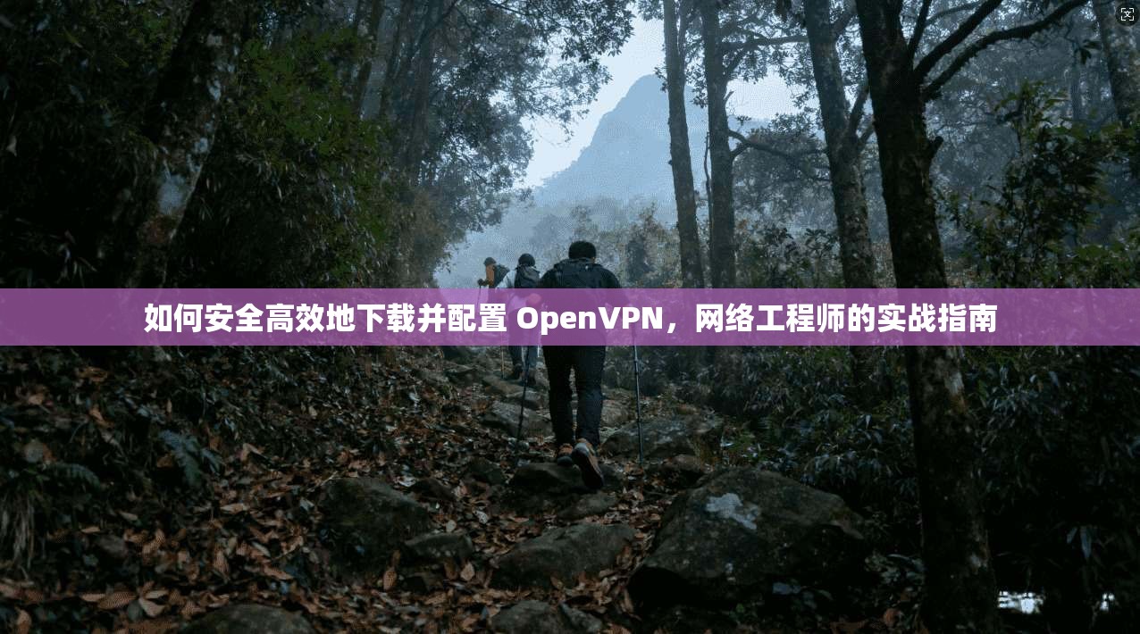 如何安全高效地下载并配置 OpenVPN,网络工程师的实战指南 如何安全高效地下载并配置 OpenVPN,网络工程师的实战指南