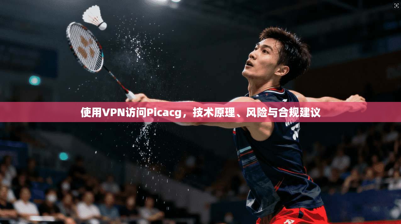使用VPN访问Picacg,技术原理、风险与合规建议 使用VPN访问Picacg,技术原理、风险与合规建议