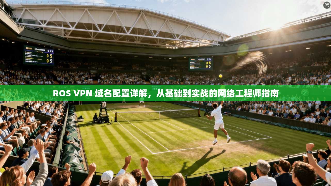 ROS VPN 域名配置详解，从基础到实战的网络工程师指南