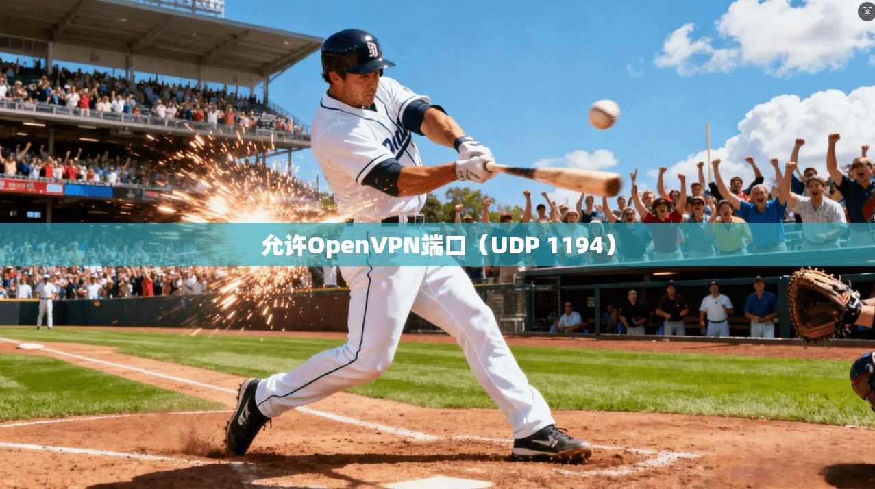 允许OpenVPN端口（UDP 1194）