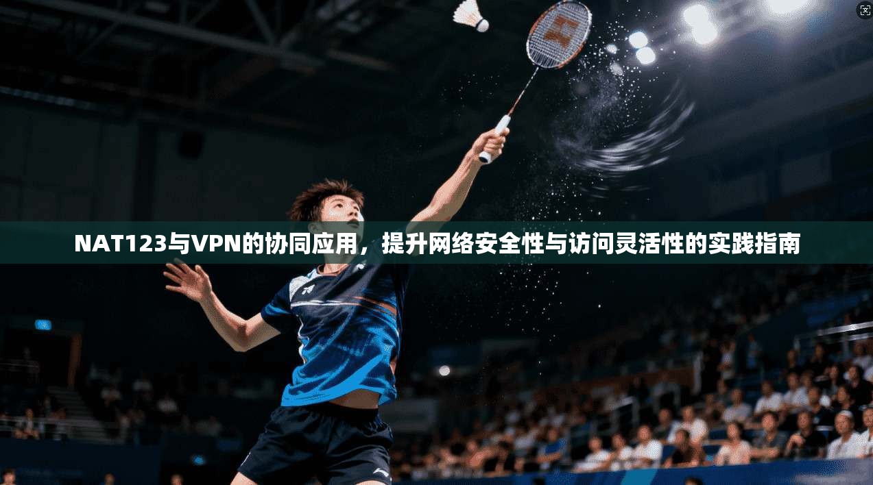 NAT123与VPN的协同应用,提升网络安全性与访问灵活性的实践指南 NAT123与VPN的协同应用,提升网络安全性与访问灵活性的实践指南