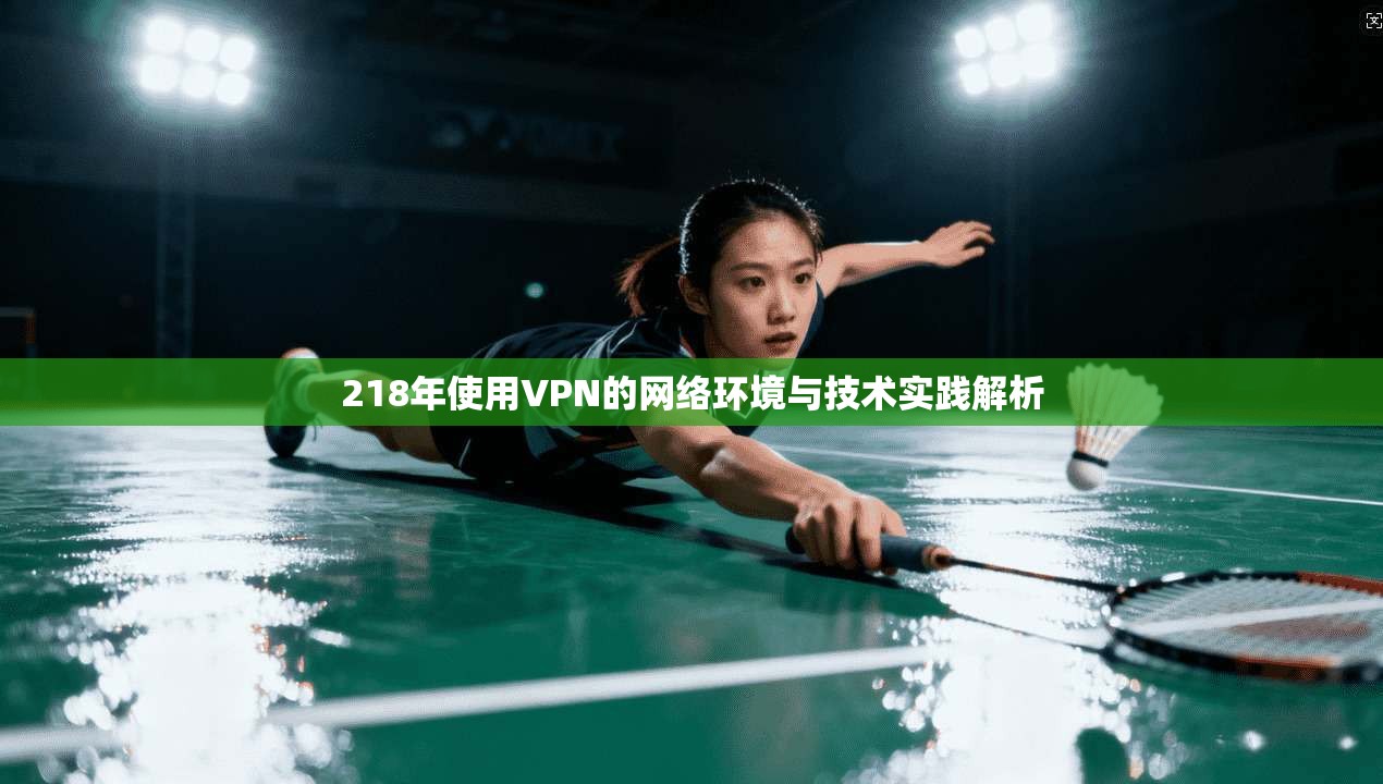 218年使用VPN的网络环境与技术实践解析