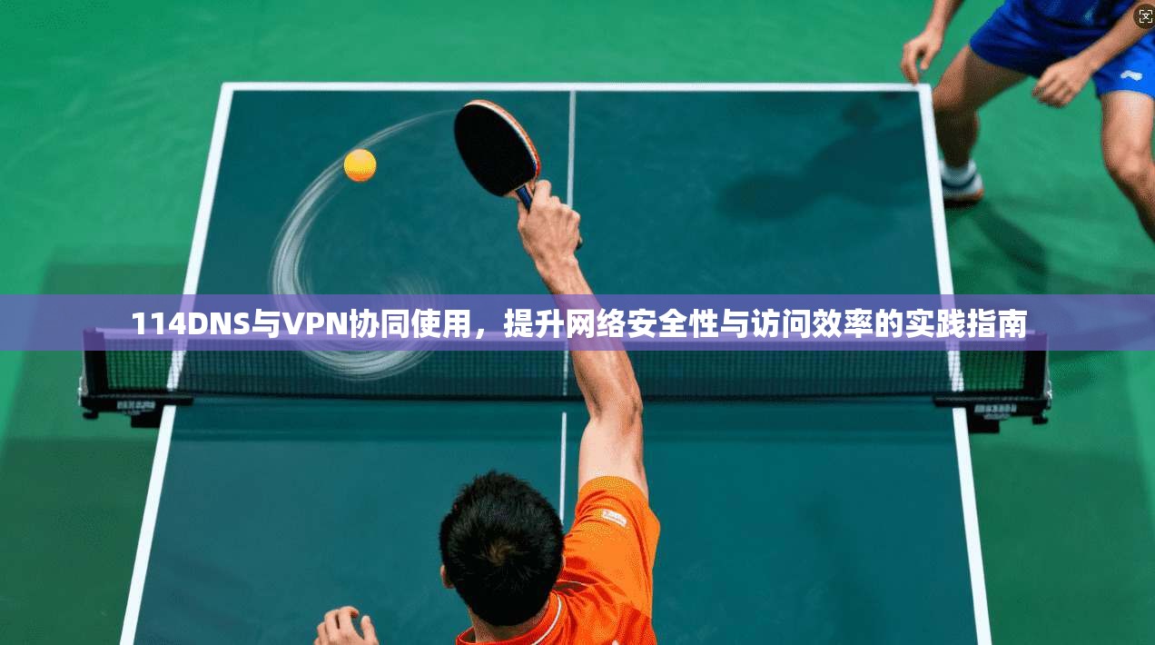 114DNS与VPN协同使用,提升网络安全性与访问效率的实践指南 114DNS与VPN协同使用,提升网络安全性与访问效率的实践指南