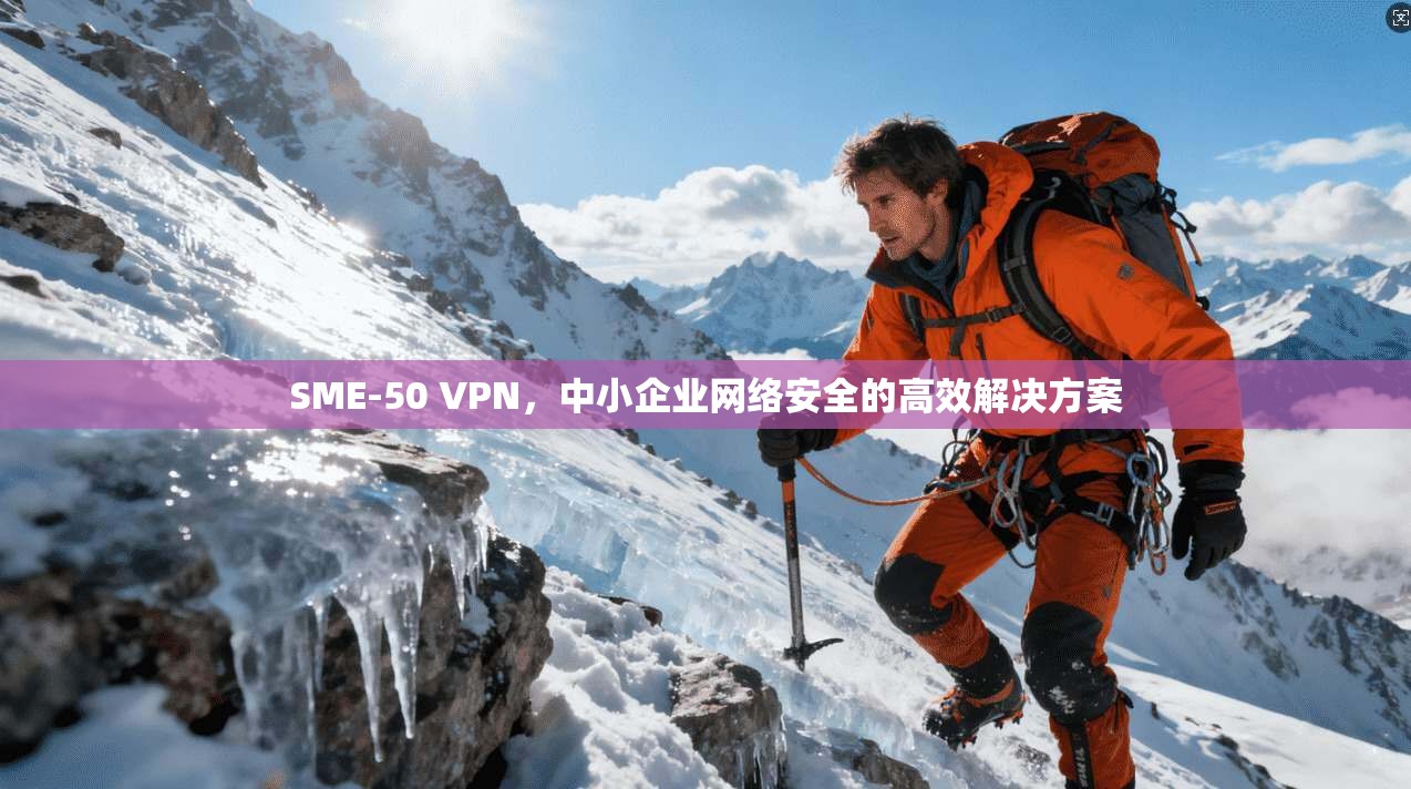 SME-50 VPN，中小企业网络安全的高效解决方案