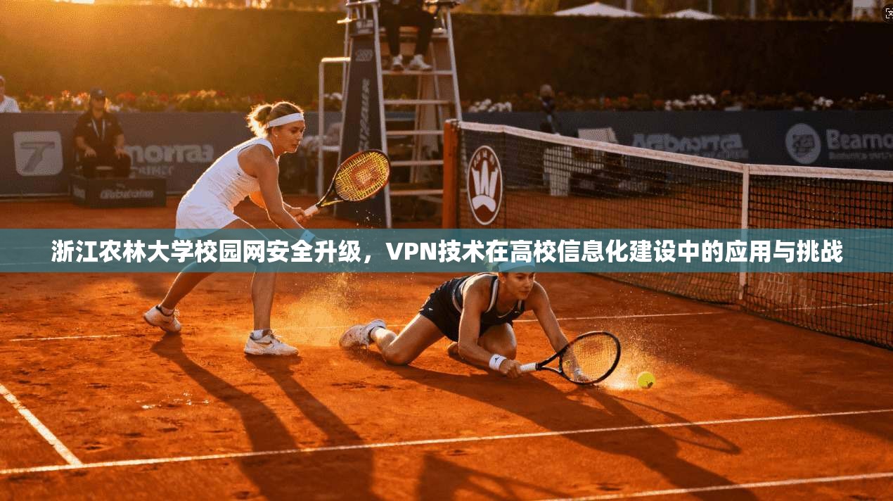 浙江农林大学校园网安全升级,VPN技术在高校信息化建设中的应用与挑战 浙江农林大学校园网安全升级,VPN技术在高校信息化建设中的应用与挑战