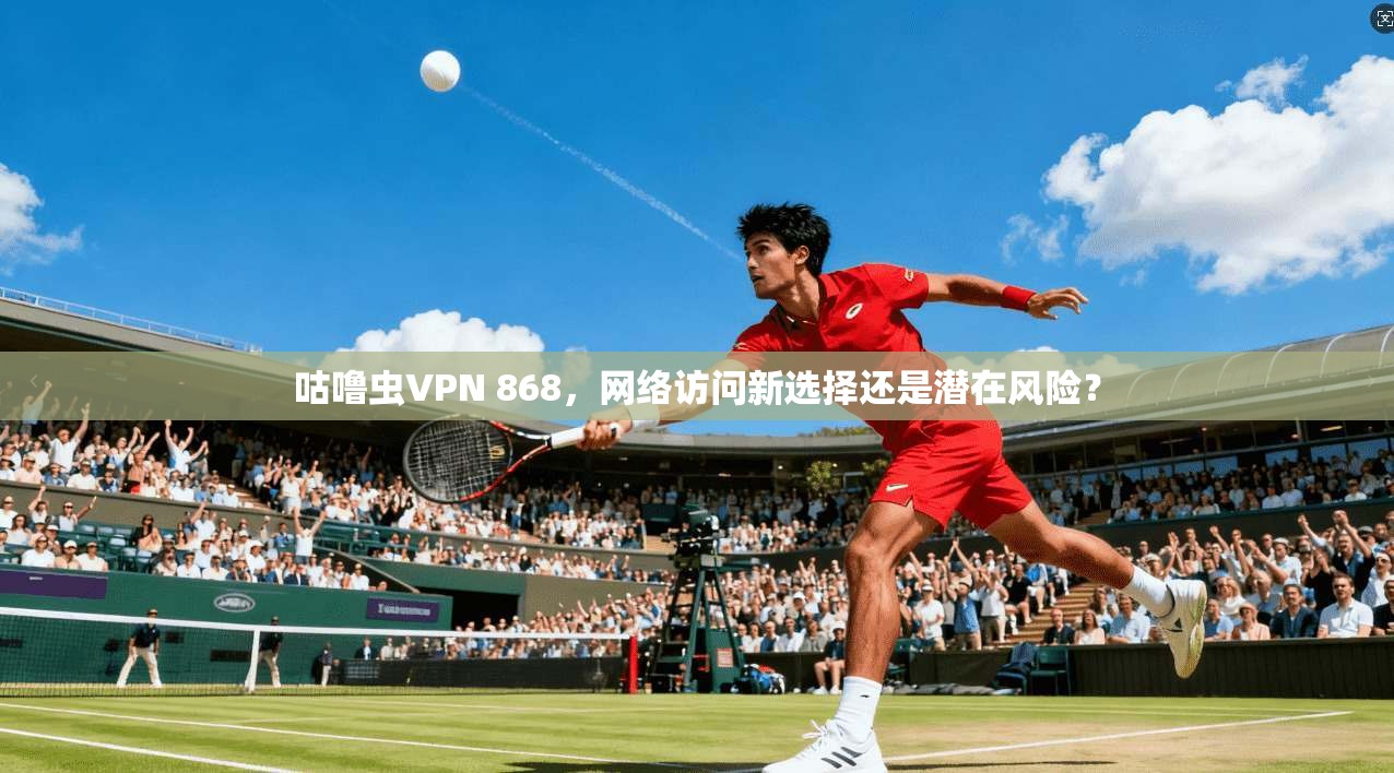 咕噜虫VPN 868，网络访问新选择还是潜在风险？