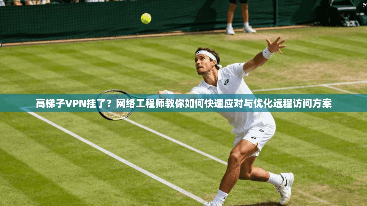 高梯子VPN挂了？网络工程师教你如何快速应对与优化远程访问方案