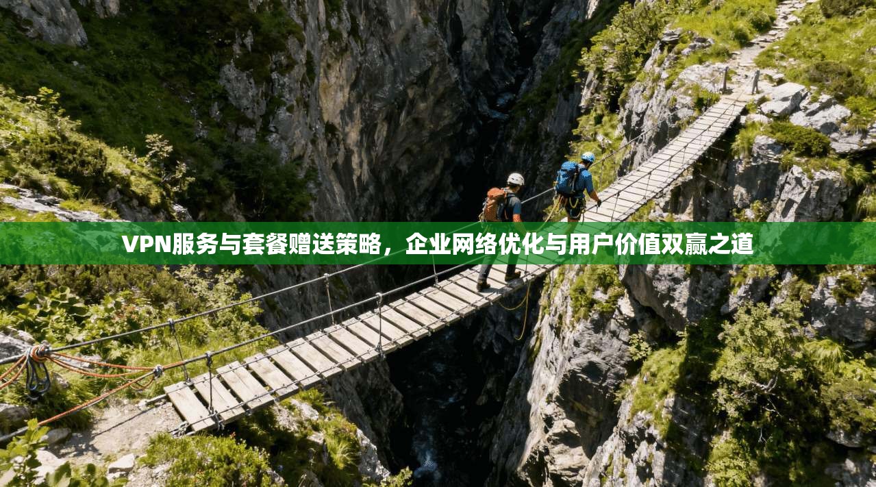 VPN服务与套餐赠送策略,企业网络优化与用户价值双赢之道