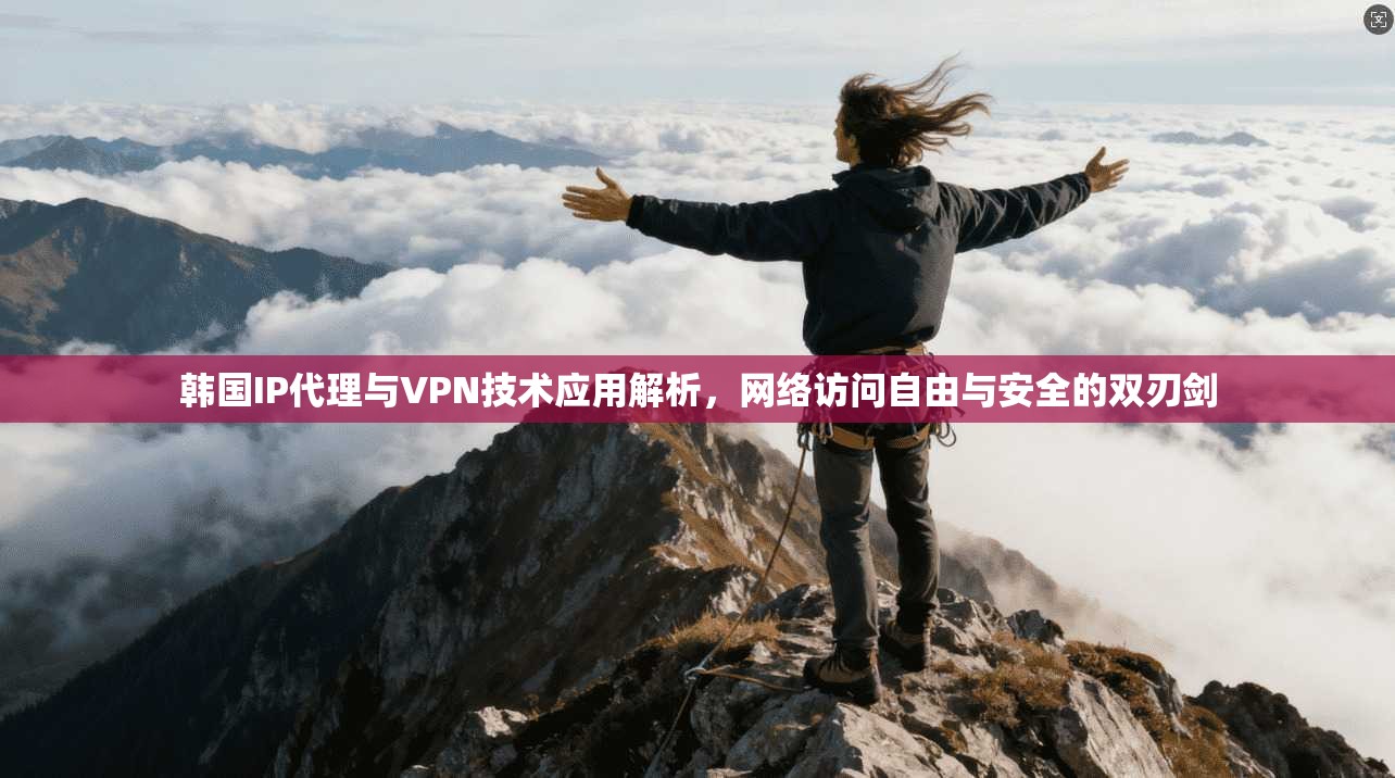韩国IP代理与VPN技术应用解析,网络访问自由与安全的双刃剑