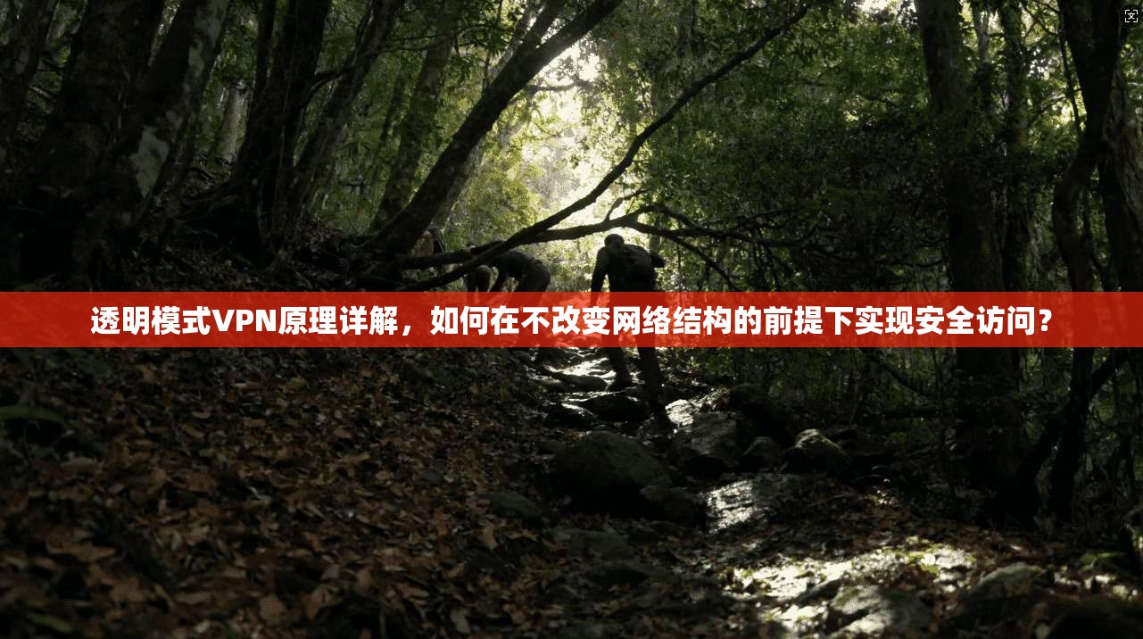 透明模式VPN原理详解,如何在不改变网络结构的前提下实现安全访问? 透明模式VPN原理详解,如何在不改变网络结构的前提下实现安全访问?