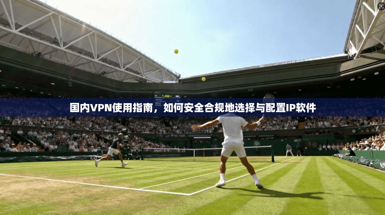 国内VPN使用指南，如何安全合规地选择与配置IP软件