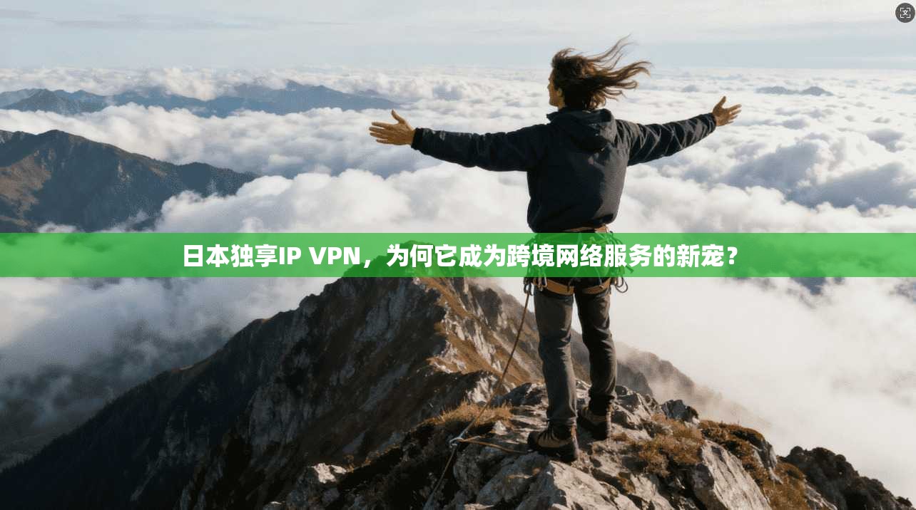 日本独享IP VPN,为何它成为跨境网络服务的新宠?