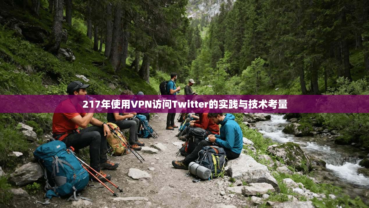 217年使用VPN访问Twitter的实践与技术考量