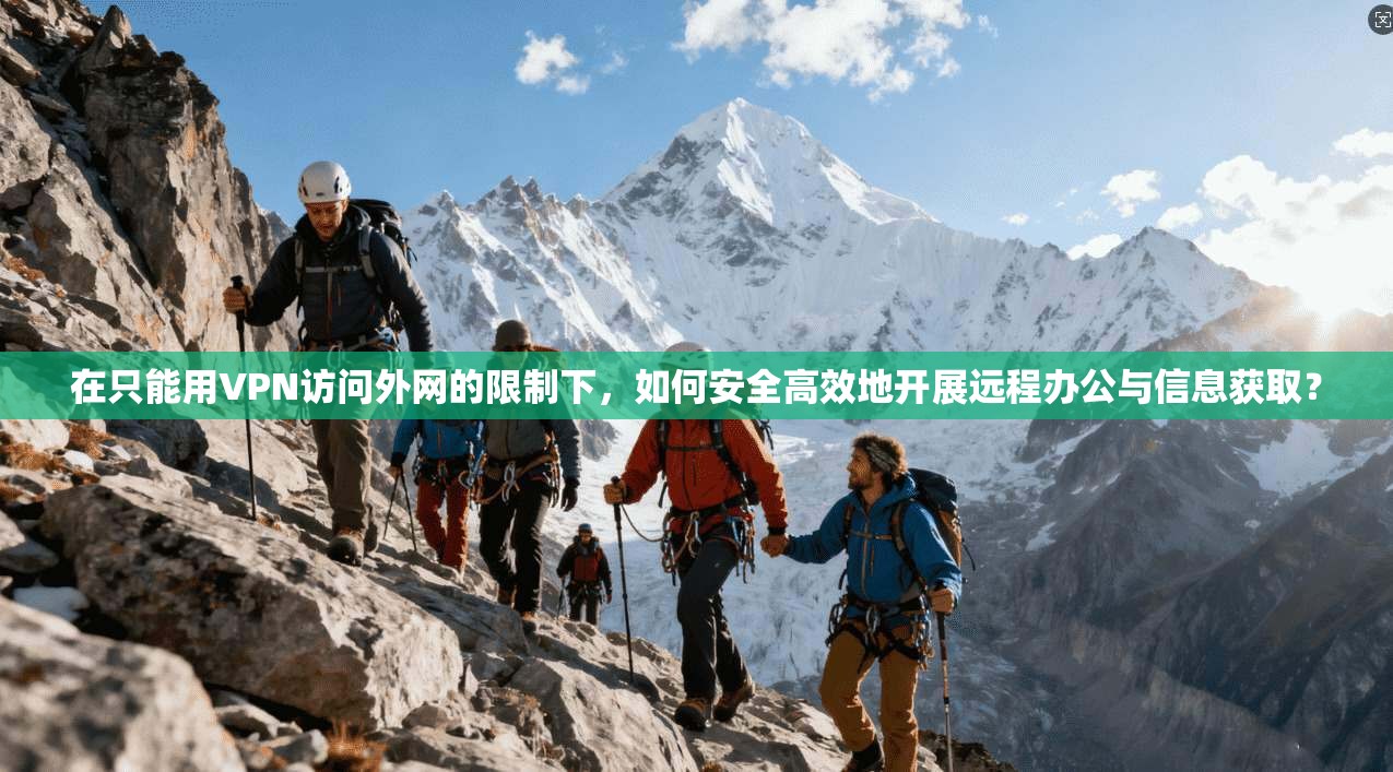在只能用VPN访问外网的限制下，如何安全高效地开展远程办公与信息获取？