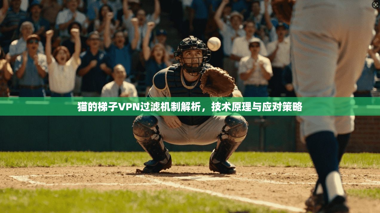 猫的梯子VPN过滤机制解析，技术原理与应对策略