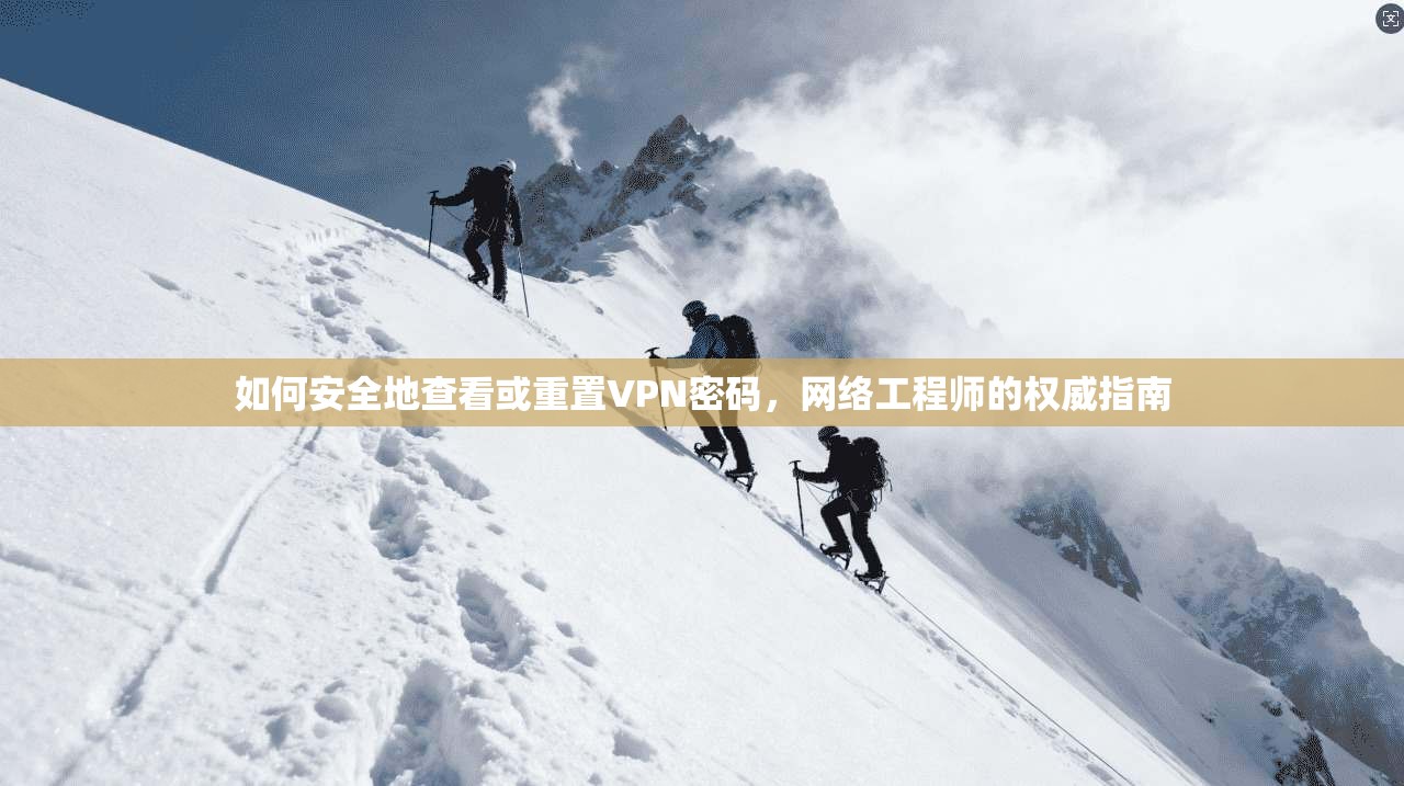 如何安全地查看或重置VPN密码，网络工程师的权威指南