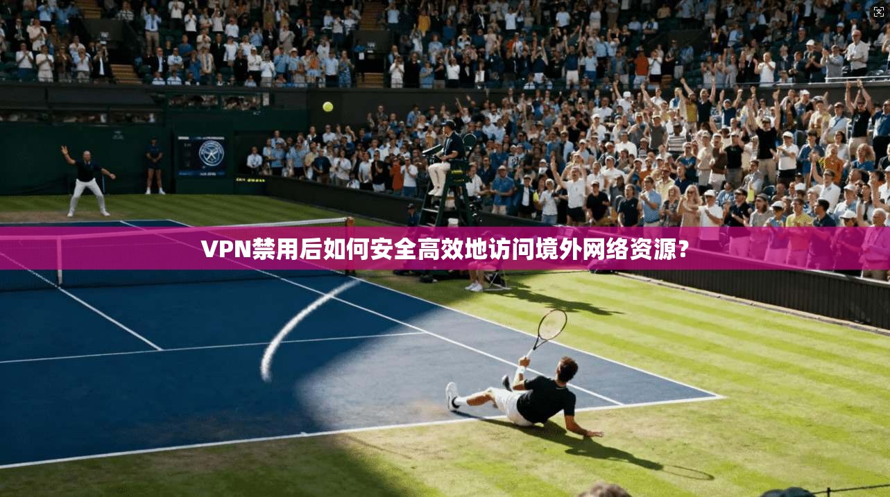 VPN禁用后如何安全高效地访问境外网络资源？