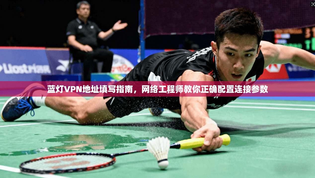 蓝灯VPN地址填写指南，网络工程师教你正确配置连接参数