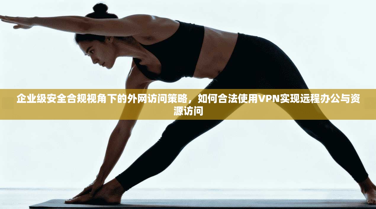 企业级安全合规视角下的外网访问策略，如何合法使用VPN实现远程办公与资源访问