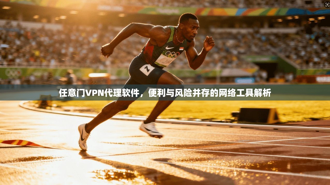 任意门VPN代理软件，便利与风险并存的网络工具解析