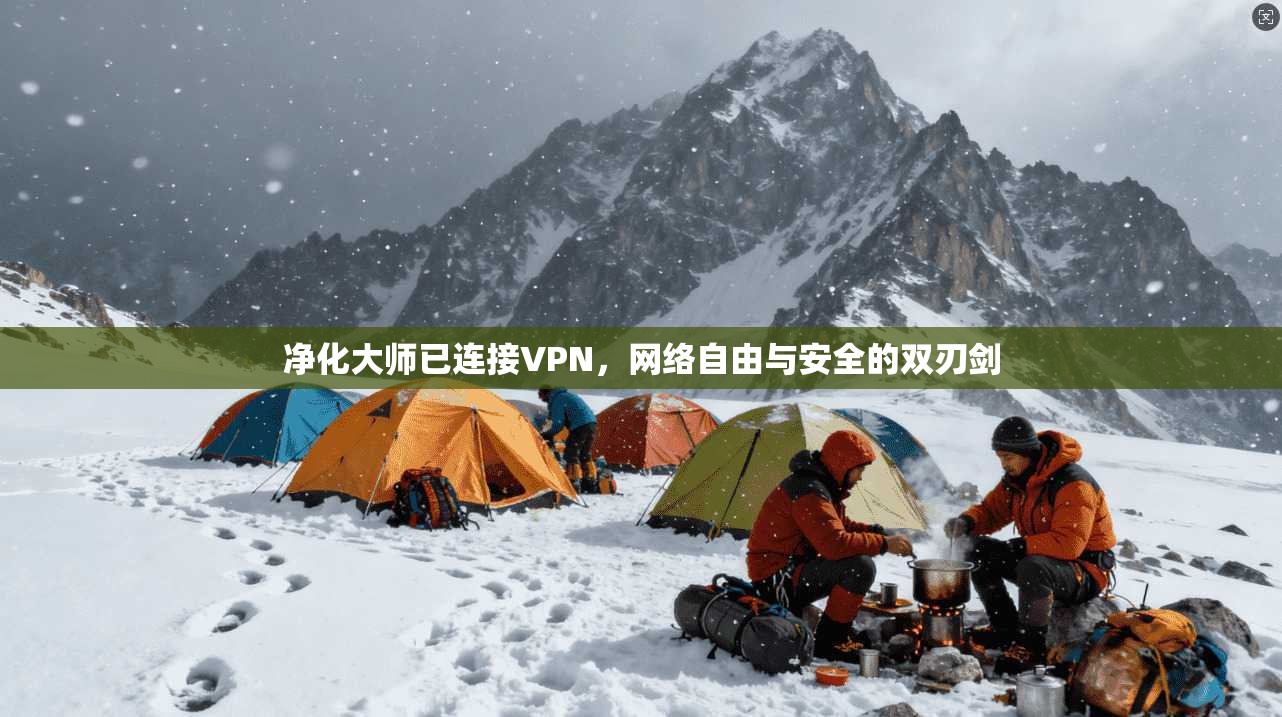 净化大师已连接VPN，网络自由与安全的双刃剑