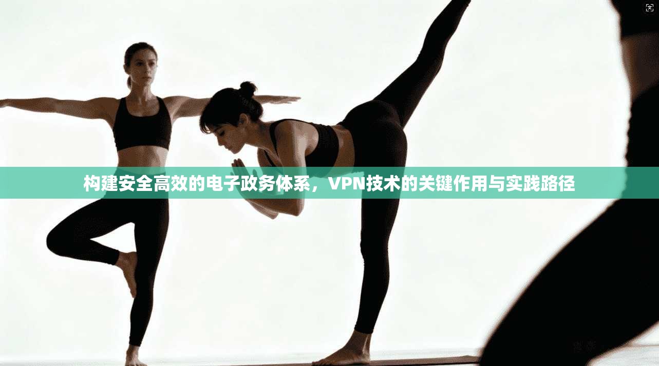 构建安全高效的电子政务体系,VPN技术的关键作用与实践路径