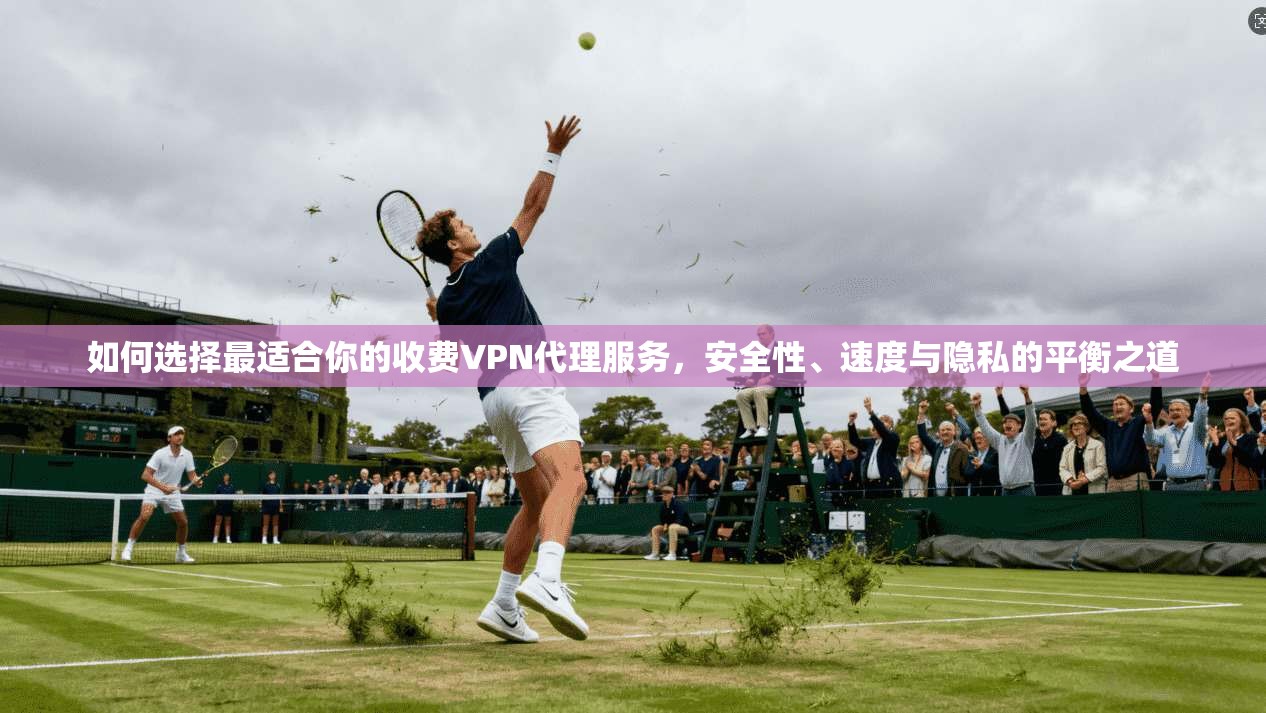 如何选择最适合你的收费VPN代理服务,安全性、速度与隐私的平衡之道 如何选择最适合你的收费VPN代理服务,安全性、速度与隐私的平衡之道